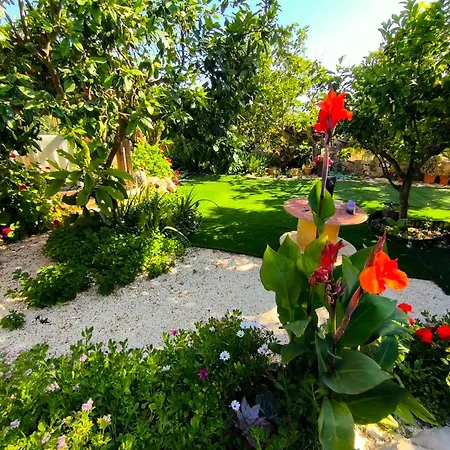 Nature Escape In Beautiful Case de vacanță