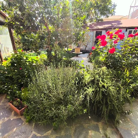 Nature Escape In Beautiful Case de vacanță Miliou
